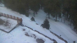 Přístup na běžeckou trať