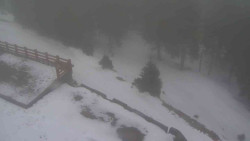 Přístup na běžeckou trať