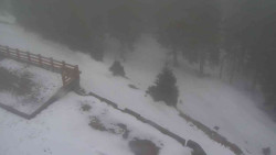 Přístup na běžeckou trať