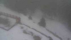 Přístup na běžeckou trať