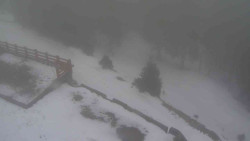 Přístup na běžeckou trať