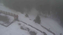 Přístup na běžeckou trať