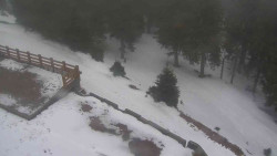 Přístup na běžeckou trať