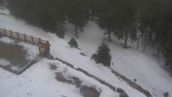 Přístup na běžeckou trať