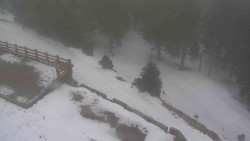 Přístup na běžeckou trať