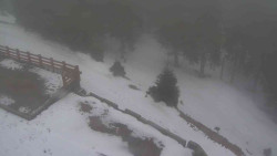 Přístup na běžeckou trať