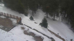 Přístup na běžeckou trať