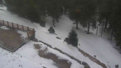 Přístup na běžeckou trať