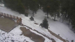 Přístup na běžeckou trať