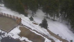 Přístup na běžeckou trať