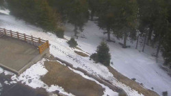 Přístup na běžeckou trať