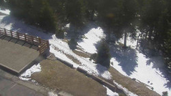 Přístup na běžeckou trať