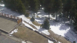 Přístup na běžeckou trať