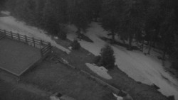 Přístup na běžeckou trať