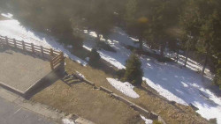 Přístup na běžeckou trať