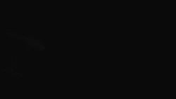 Přístup na běžeckou trať