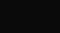 Přístup na běžeckou trať