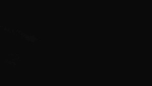 Sporthotel Kurzovní - Přístup na běžeckou trať - 17.4.2026 v 00:00 Sporthotel Kurzovní - Přístup na běžeckou trať - 17.4.2026 v 00:00