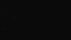 Přístup na běžeckou trať