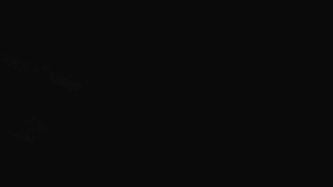 Sporthotel Kurzovní - Přístup na běžeckou trať - 17.4.2026 v 00:25 Sporthotel Kurzovní - Přístup na běžeckou trať - 17.4.2026 v 00:25