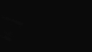 Sporthotel Kurzovní - Přístup na běžeckou trať - 17.4.2026 v 00:30 Sporthotel Kurzovní - Přístup na běžeckou trať - 17.4.2026 v 00:30