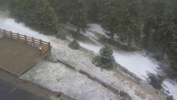 Přístup na běžeckou trať