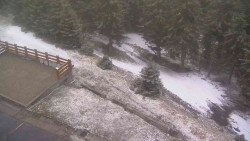 Přístup na běžeckou trať