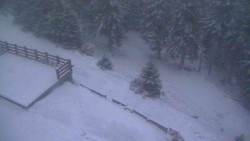 Přístup na běžeckou trať