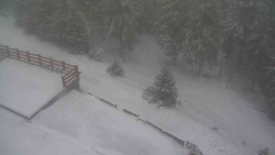 Přístup na běžeckou trať