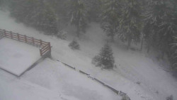 Přístup na běžeckou trať