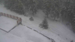 Přístup na běžeckou trať