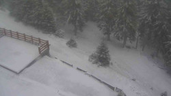 Přístup na běžeckou trať