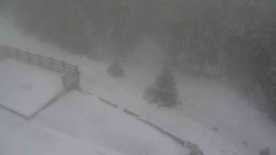 Přístup na běžeckou trať