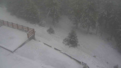 Přístup na běžeckou trať