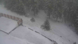 Přístup na běžeckou trať