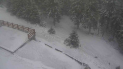 Přístup na běžeckou trať