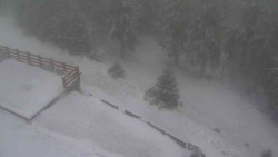 Přístup na běžeckou trať