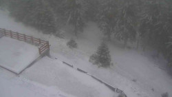 Přístup na běžeckou trať