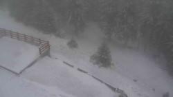 Přístup na běžeckou trať