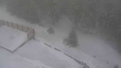 Přístup na běžeckou trať