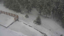 Přístup na běžeckou trať