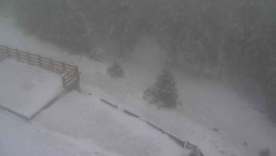 Přístup na běžeckou trať