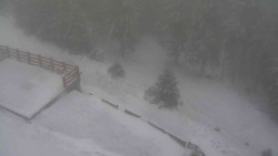 Přístup na běžeckou trať