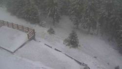 Přístup na běžeckou trať