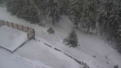 Přístup na běžeckou trať