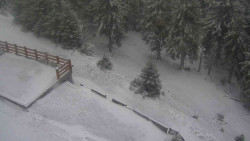 Přístup na běžeckou trať