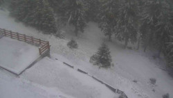 Přístup na běžeckou trať