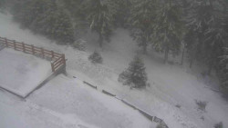 Přístup na běžeckou trať