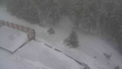 Přístup na běžeckou trať