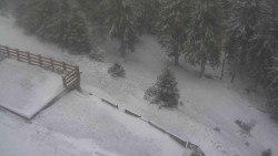 Přístup na běžeckou trať